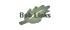 Bob Links